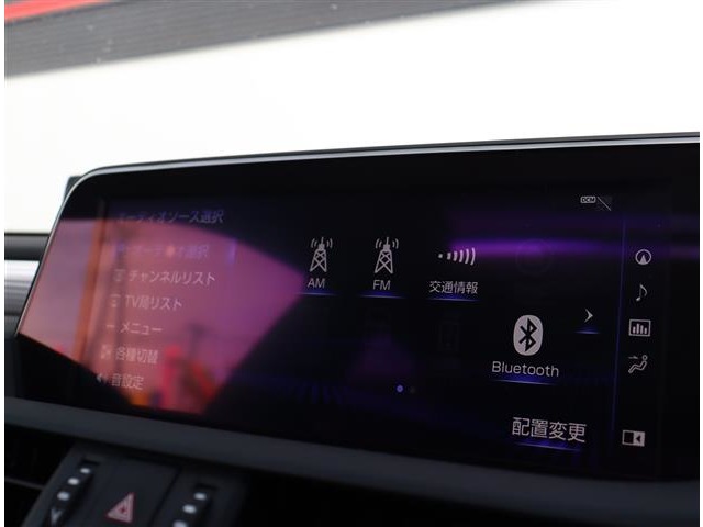 レクサス ＥＳ３００ｈ Ｆスポーツ R1年 (関東) 99