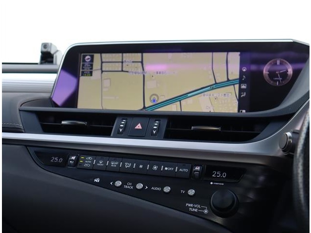 レクサス ＥＳ３００ｈ Ｆスポーツ R1年 (関東) 99