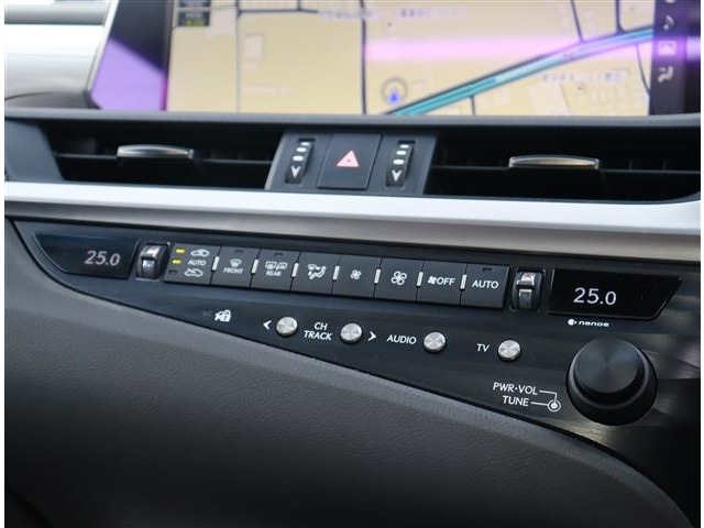 レクサス ＥＳ３００ｈ Ｆスポーツ R1年 (関東) 99