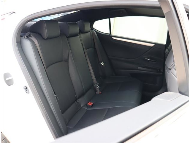 レクサス ＥＳ３００ｈ Ｆスポーツ R1年 (関東) 99