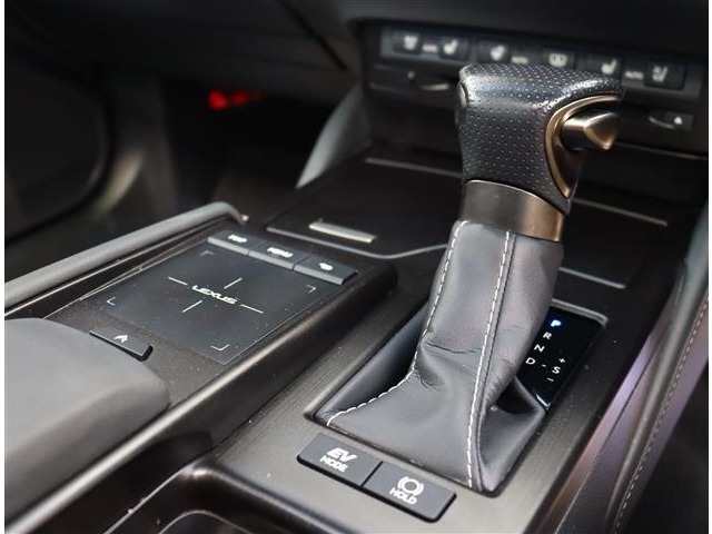 レクサス ＥＳ３００ｈ Ｆスポーツ R1年 (関東) 99