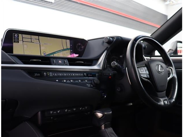 レクサス ＥＳ３００ｈ Ｆスポーツ R1年 (関東) 99