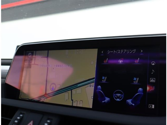 レクサス ＥＳ３００ｈ Ｆスポーツ R1年 (関東) 99