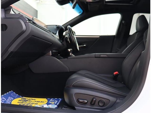 レクサス ＥＳ３００ｈ Ｆスポーツ R1年 (関東) 99