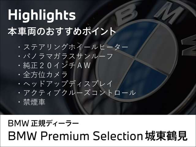 ＢＭＷ Ｘ２ Ｘドライブ２０Ｉ Ｍスポーツ ４ＷＤ R6年 (近畿) 99