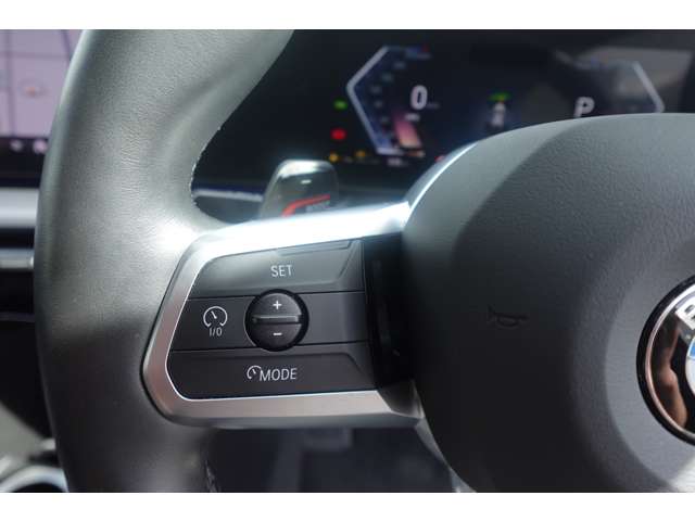 ＢＭＷ Ｘ２ Ｘドライブ２０Ｉ Ｍスポーツ ４ＷＤ R6年 (近畿) 99