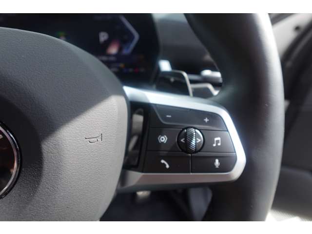 ＢＭＷ Ｘ２ Ｘドライブ２０Ｉ Ｍスポーツ ４ＷＤ R6年 (近畿) 99