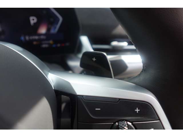 ＢＭＷ Ｘ２ Ｘドライブ２０Ｉ Ｍスポーツ ４ＷＤ R6年 (近畿) 99