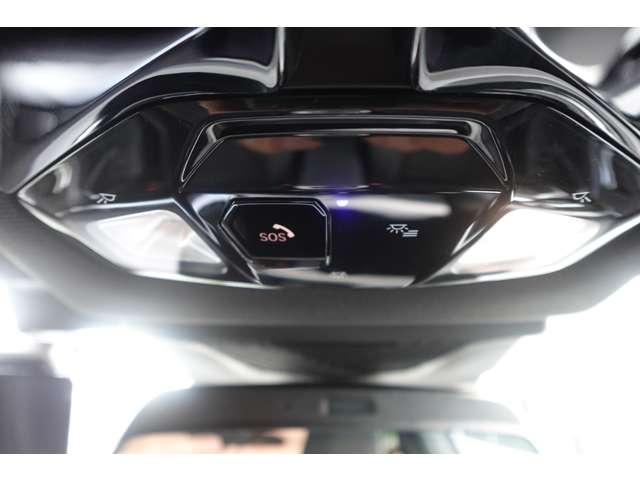 ＢＭＷ Ｘ２ Ｘドライブ２０Ｉ Ｍスポーツ ４ＷＤ R6年 (近畿) 99