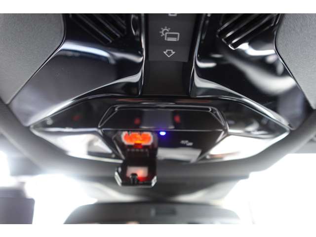 ＢＭＷ Ｘ２ Ｘドライブ２０Ｉ Ｍスポーツ ４ＷＤ R6年 (近畿) 99
