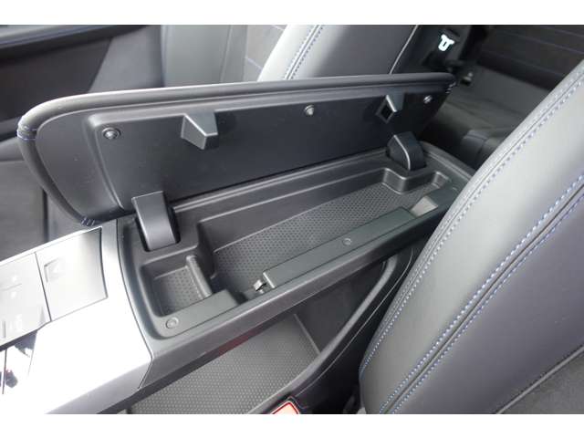 ＢＭＷ Ｘ２ Ｘドライブ２０Ｉ Ｍスポーツ ４ＷＤ R6年 (近畿) 99
