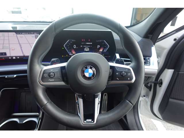 ＢＭＷ Ｘ２ Ｘドライブ２０Ｉ Ｍスポーツ ４ＷＤ R6年 (近畿) 99
