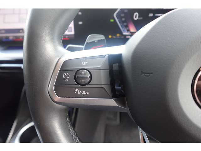 ＢＭＷ Ｘ２ Ｘドライブ２０Ｉ Ｍスポーツ ４ＷＤ R6年 (近畿) 99