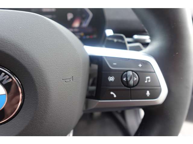 ＢＭＷ Ｘ２ Ｘドライブ２０Ｉ Ｍスポーツ ４ＷＤ R6年 (近畿) 99