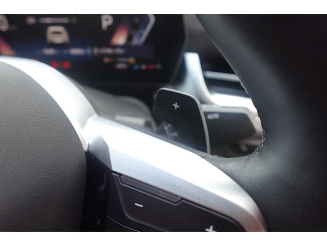 ＢＭＷ Ｘ２ Ｘドライブ２０Ｉ Ｍスポーツ ４ＷＤ R6年 (近畿) 99