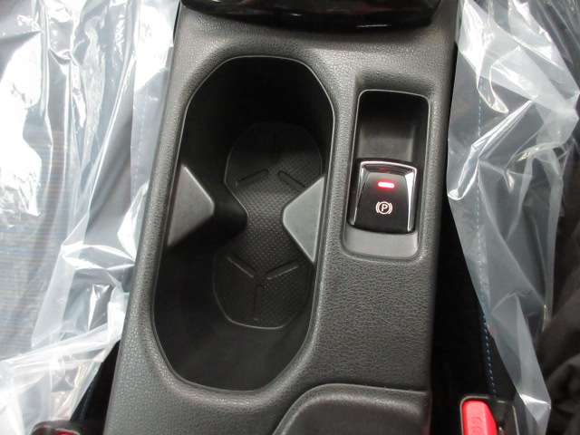 日産 リーフ ｅ＋　Ｘ R5年 (九州・沖縄) 99