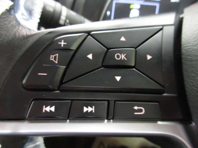 日産 リーフ ｅ＋　Ｘ R5年 (九州・沖縄) 99