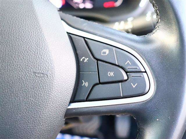 ルノー メガーヌスポーツツアラー インテンス R4年 (関東) 99