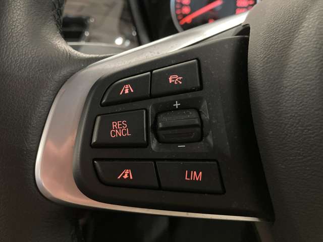 ＢＭＷ Ｘ１ Ｘドライブ １８Ｄ Ｘライン ４ＷＤ H30年 (関東) 99