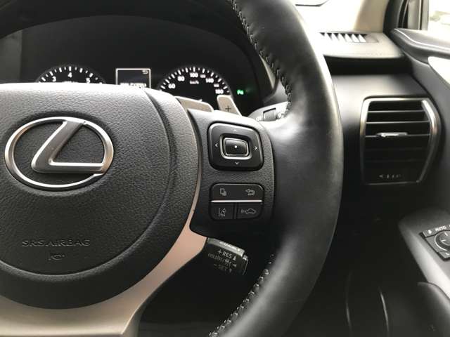 レクサス ＮＸ３００ ３００ Ｉパッケージ ４ＷＤ R2年 (北海道) 99