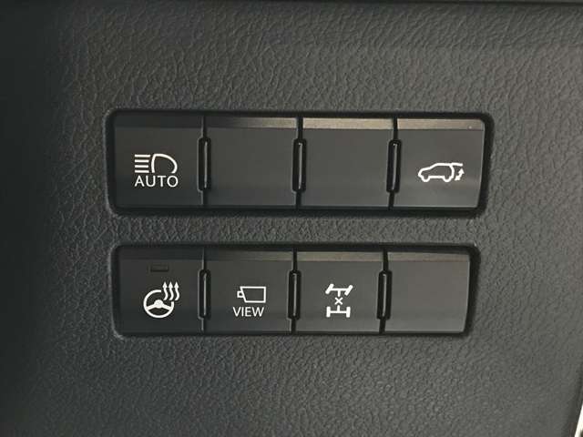 レクサス ＮＸ３００ ３００ Ｉパッケージ ４ＷＤ R2年 (北海道) 99