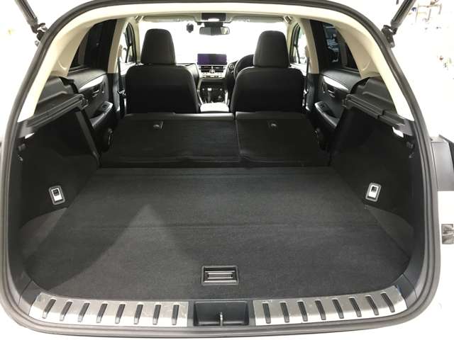 レクサス ＮＸ３００ ３００ Ｉパッケージ ４ＷＤ R2年 (北海道) 99