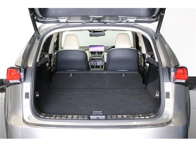 レクサス ＮＸ３００ｈ ３００Ｈ Ｉパッケージ ４ＷＤ H30年 (北海道) 99