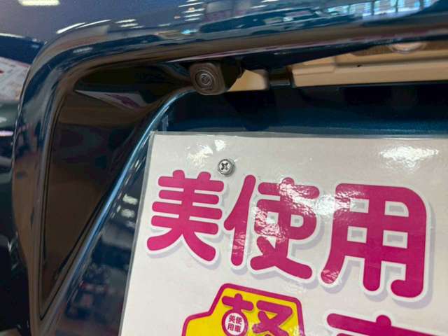 ダイハツ タント ６６０ Ｘ ４ＷＤ R6年 (北海道) 99