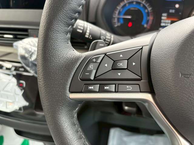 三菱 デリカ　ミニ ６６０ Ｔ プレミアム ４ＷＤ R7年 (北海道) 99