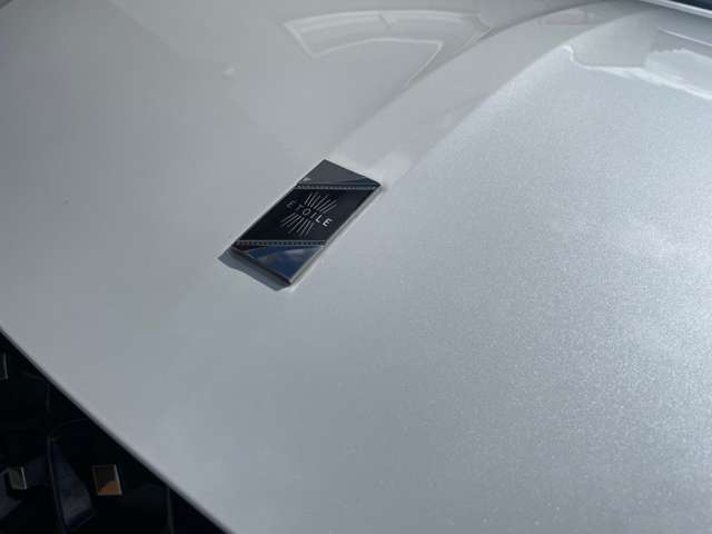 シトロエン ＤＳ４ エトワール ブルーＨＤＩ ディーゼルターボ R7年 (東北) 99