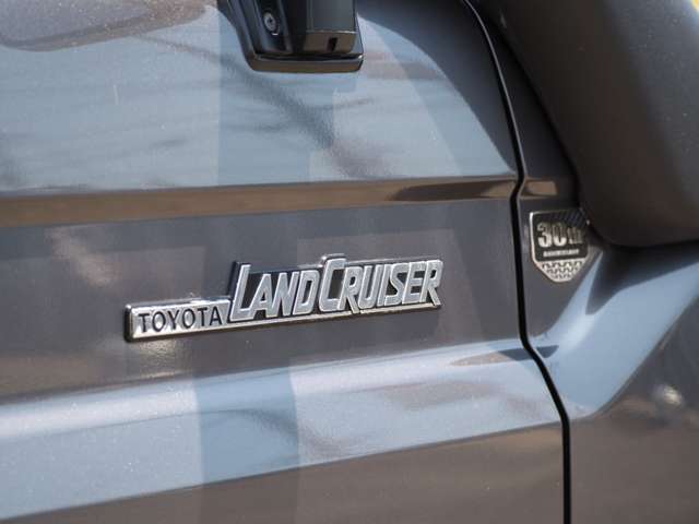トヨタ ランドクルーザーピックアップ ４．０ ４ＷＤ H27年 (関東) 99