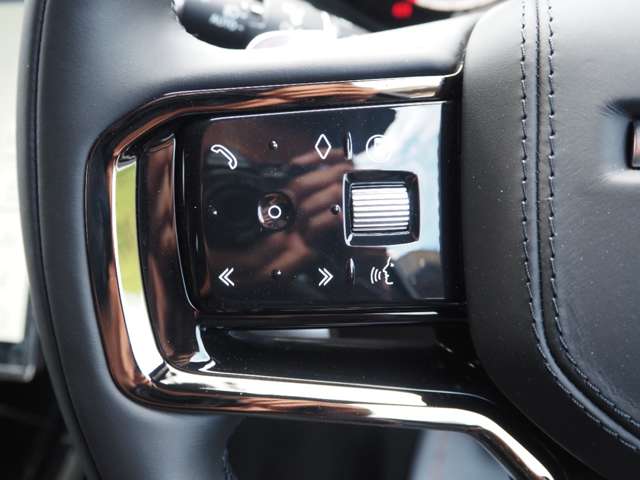 ランドローバー レンジローバー スポーツ オートバイオグラフィ ３．０Ｌ Ｄ３００ ディーゼルターボ ４ＷＤ R6年 (関東) 99