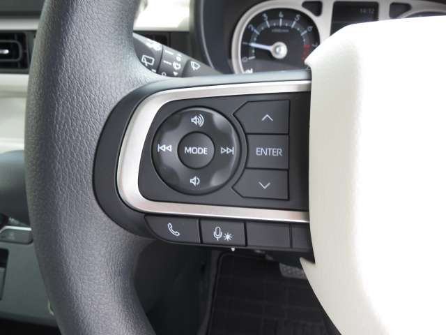 ダイハツ ムーヴ　キャンバス ６６０ ストライプス Ｇ R6年 (関東) 99