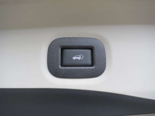 日産 エクストレイル ２．０ ２０Ｘ ３列車 ４ＷＤ R1年 (関東) 99