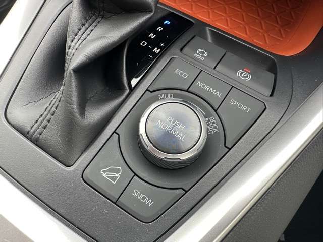 トヨタ ＲＡＶ４ ２．０ アドベンチャー ４ＷＤ R2年 (東海) 99