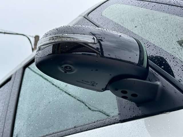 三菱 デリカ　ミニ ６６０ Ｇ プレミアム ４ＷＤ R6年 (東海) 99