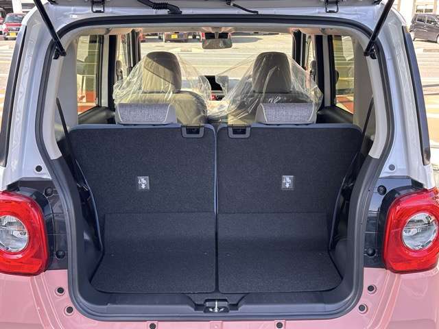 ダイハツ ムーヴ　キャンバス ６６０ ストライプス Ｇ R6年 (東海) 99