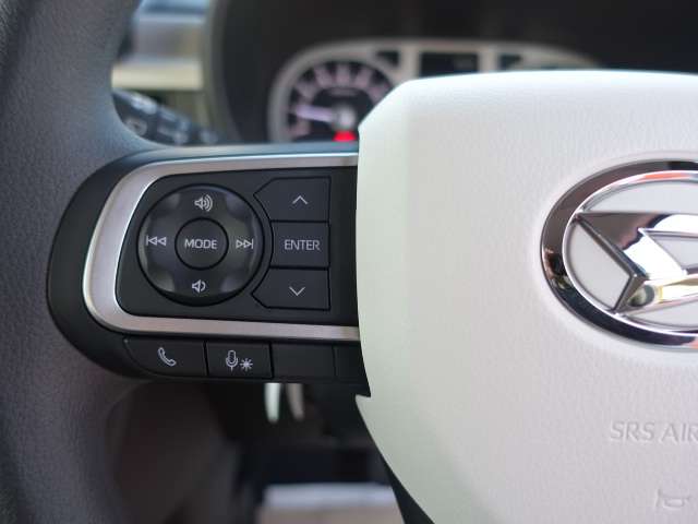 ダイハツ ムーヴ　キャンバス ６６０ ストライプス Ｇ R6年 (東海) 99