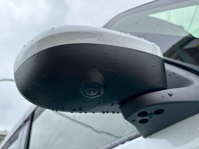 ダイハツ ムーヴ　キャンバス ６６０ ストライプス Ｇ R6年 (東海) 99