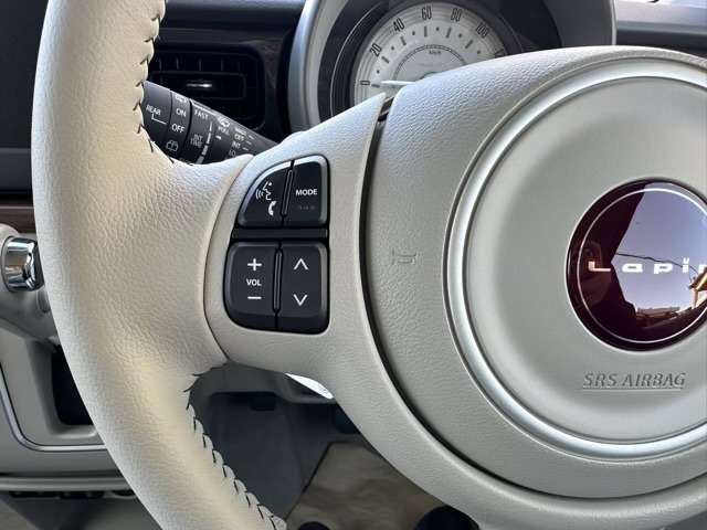 スズキ アルトラパン　ＬＣ ＬＣ ６６０ Ｘ R6年 (東海) 99