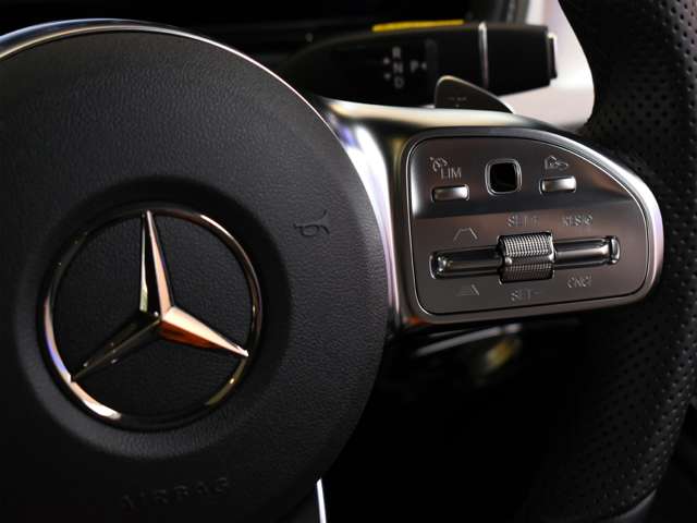 メルセデスベンツ Ｇクラス Ｇ４００Ｄ ＡＭＧライン ディーゼルターボ ４ＷＤ R6年 (関東) 99