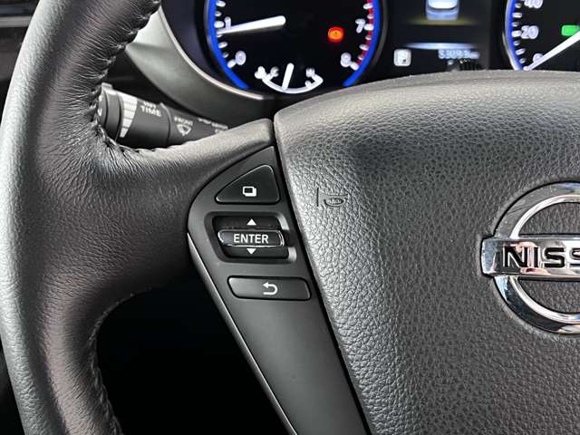 日産 エルグランド ２．５ ２５０ハイウェイスターＳ H29年 (関東) 99