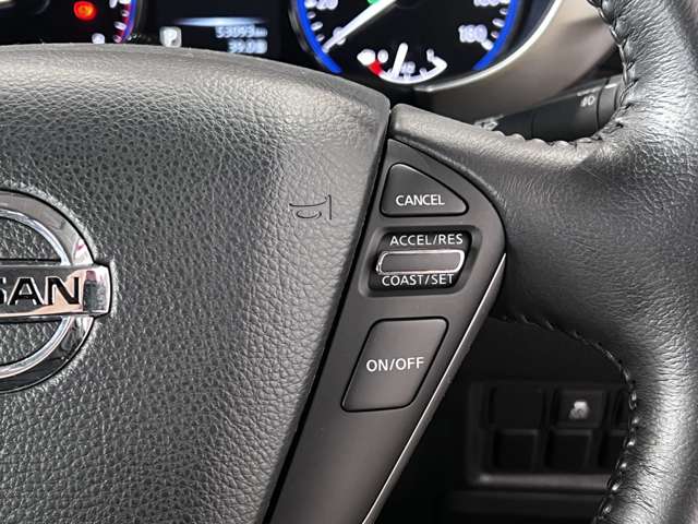 日産 エルグランド ２．５ ２５０ハイウェイスターＳ H29年 (関東) 99