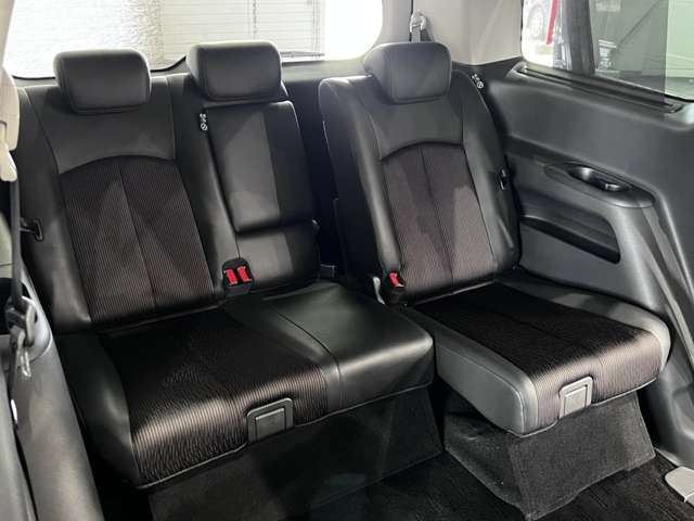 日産 エルグランド ２．５ ２５０ハイウェイスターＳ H29年 (関東) 99