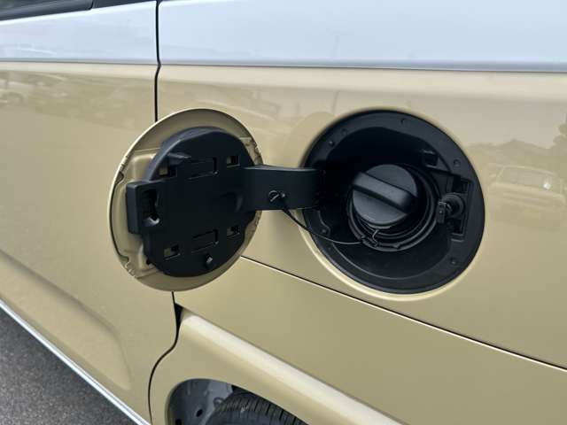 ダイハツ ムーヴ　キャンバス ６６０ ストライプス Ｘ R7年 () 99