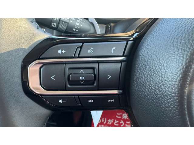 スズキ スペーシア ６６０ カスタム ハイブリッド ＸＳ R5年 (甲信越・北陸) 99