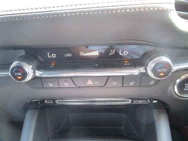 マツダ ＭＡＺＤＡ３　ファストバック ２．０ ２０Ｓ Ｌパッケージ R1年 (中国) 99