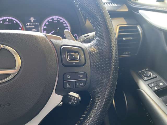 レクサス ＮＸ２００ｔ ２００Ｔ Ｆスポーツ ４ＷＤ H27年 (九州・沖縄) 99