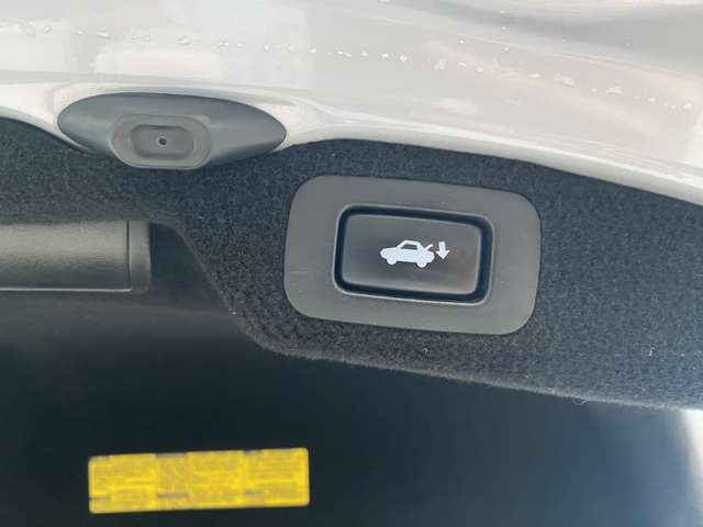 レクサス ＬＳ４６０ バージョンＣ　Ｉパッケージ H20年 (九州・沖縄) 99