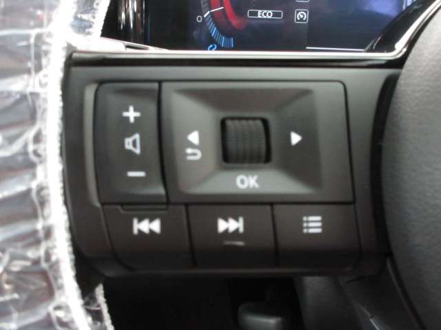 日産 ノートオーラ １．２ ＮＩＳＭＯ R5年 (九州・沖縄) 99